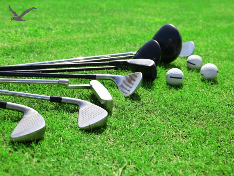 Cara Memilih Set Kelab Golf yang Betul untuk Pengguna Anda