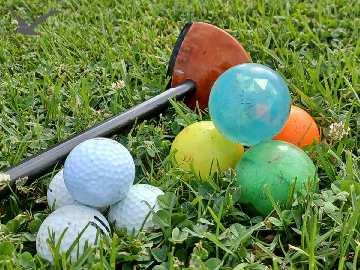 Kepelbagaian bola golf taman
