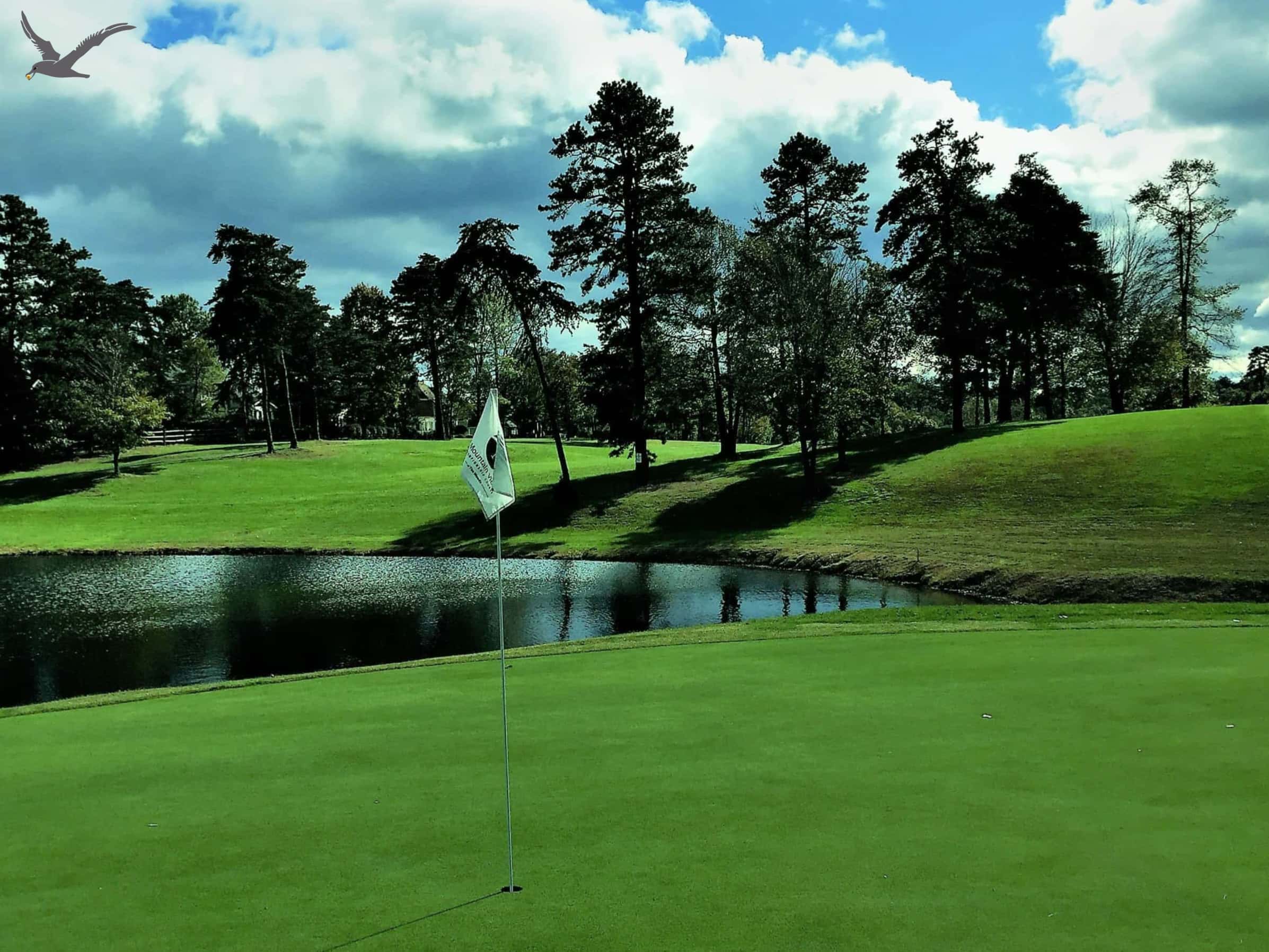 Sukan Albatross: 10 Fakta Cepat ke Kown Golf (Bahagian 1)